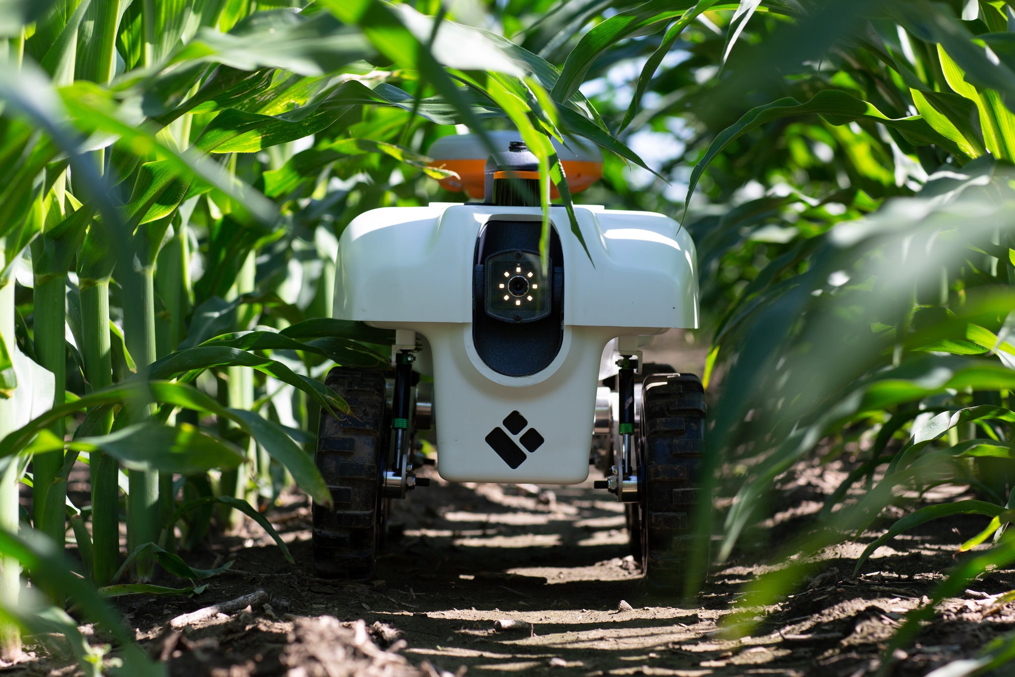 Picture of TerraSentia robot in the field.